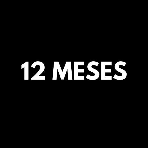 12 MESES